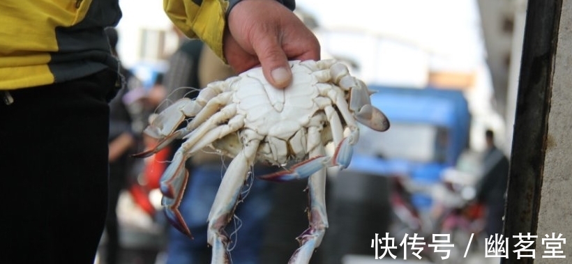 收获|男子收获一条像癞蛤蟆的怪鱼,发现鱼嘴合不上,掰开看后乐了