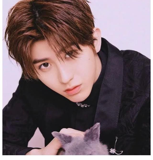 蔡徐坤违规被罚，未获演出许可擅自开场？真相曝光：他是被冤枉的