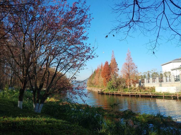 船房河走到滇池边，冬日赏海鸥、走湿地，惬意