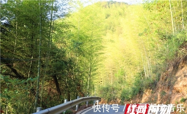 溪流|畅游武冈：云山国家森林公园进山公路漫游札记