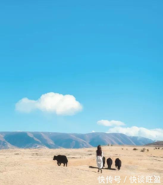 青杨林|如果有一天我选择去流浪，那这个地方肯定就是稻城