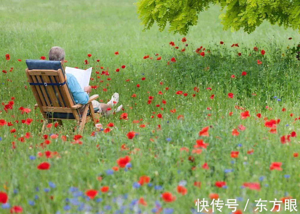 儿孙福！“儿孙自有儿孙福”，它的下句才是精华，可惜少有人知！