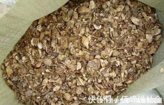 旧土|养花旧土别丢,掺入这“3样”,肥得流油不板结,养花太旺了