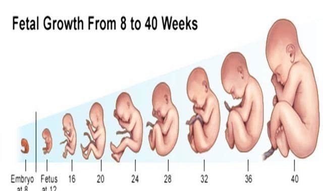 分娩|剖腹产为何要在孕38周而不是40周别看只差两周，差距不是一点点
