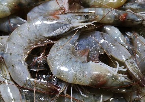 你个|保存大虾,直接放冰箱就错了,教你个好方法,冻几个月都像刚买的