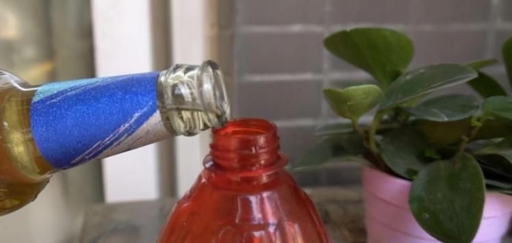 养花浇水是门学问，不讲究迟早要吃大亏，别再随意用了