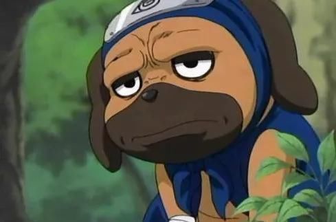 妙木山|火影忍者:这3只通灵兽是最弱的,凯的忍龟、卡卡西的狗全上榜