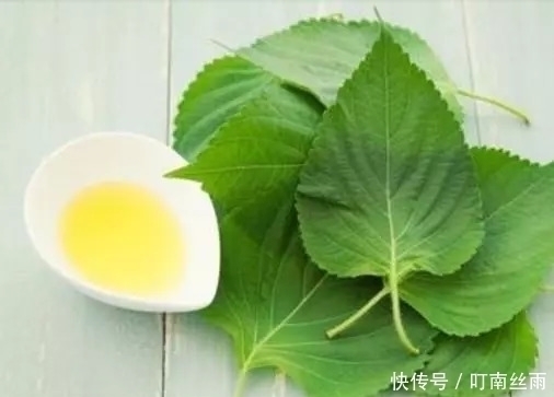 溶解|血管不堵的人，身体会有5个表现，占2个以上，恭喜你血管还不错