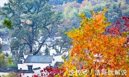 徽菜|住在黄山“天梯”上，品徽式定制拾秋宴，这是什么神仙日子！