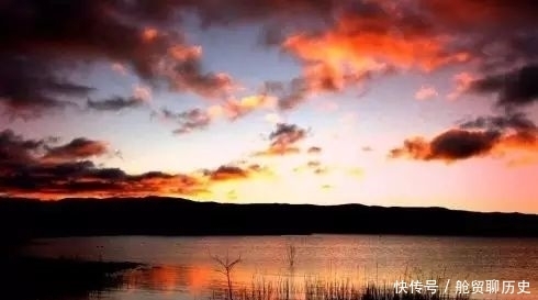 桃花|烟雨夜读 万树桃花月满天