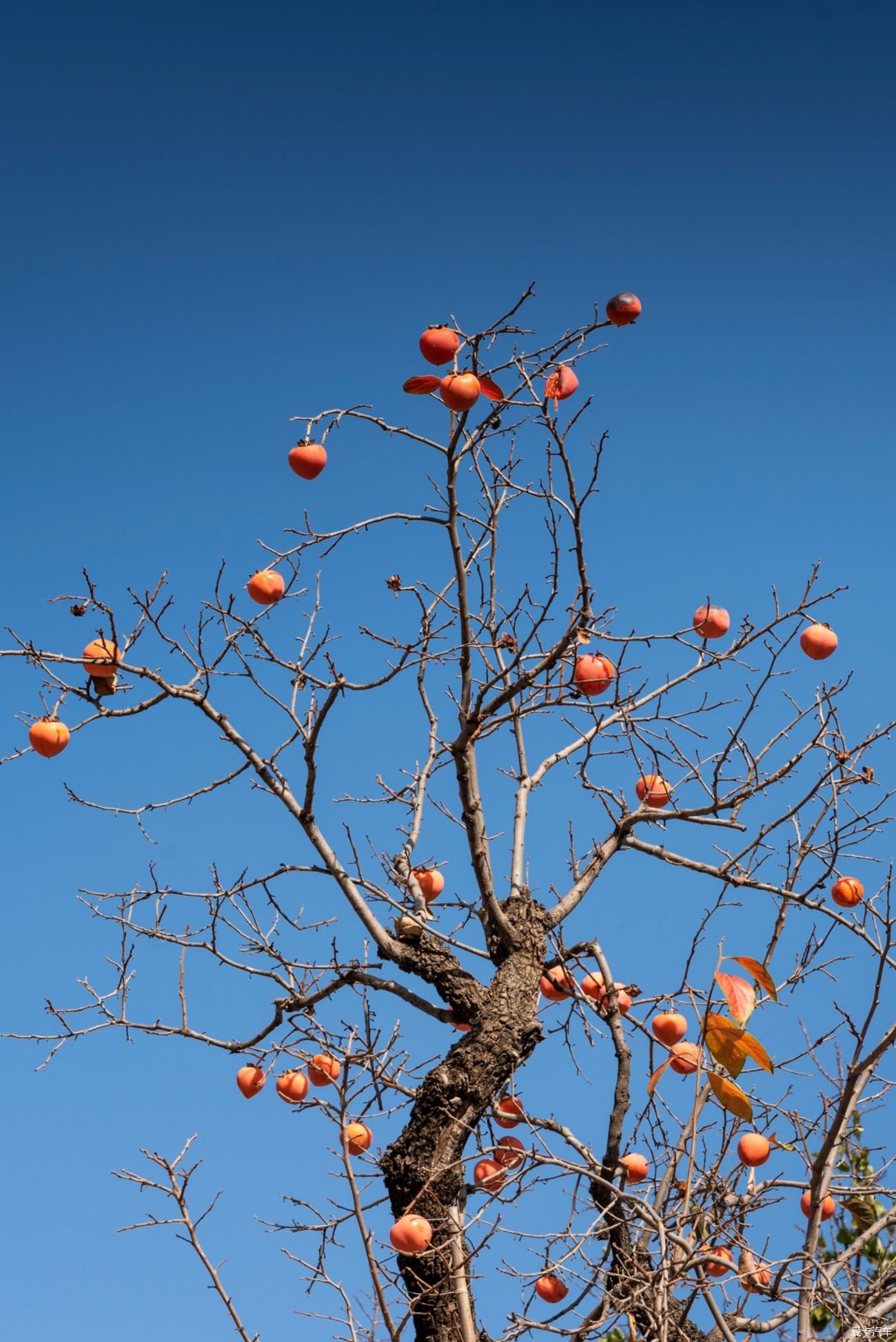  六人行|诗意 · 江湖，六人行