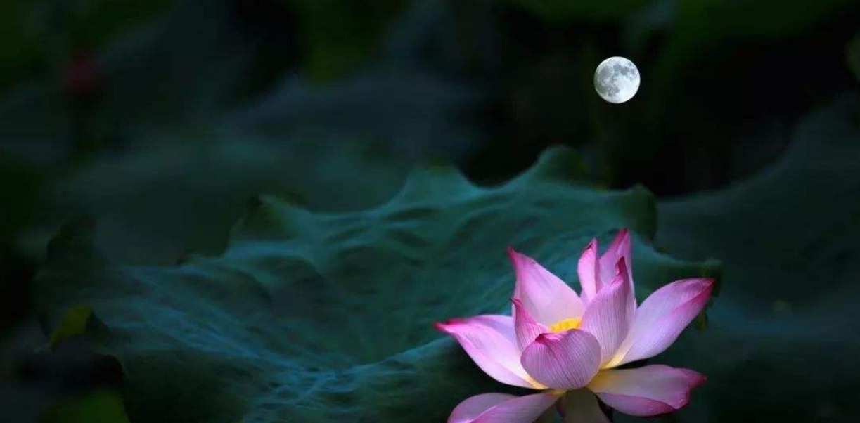 苏轼|苏轼在野外睡了一夜，醒来时在桥柱上写下这首词，成一首千古名作