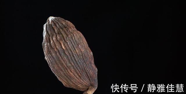 草果是要整颗用还是去籽用呢从这两点判断区分简单明了