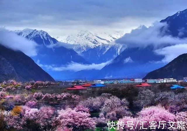 桃花|2022年的春天，期待一场林芝桃花与蓝冰的邂逅