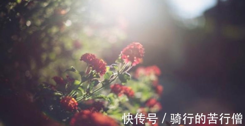 白羊|下周结束后，花开不落，红线重合，回头继续，奉陪到底，形影不离