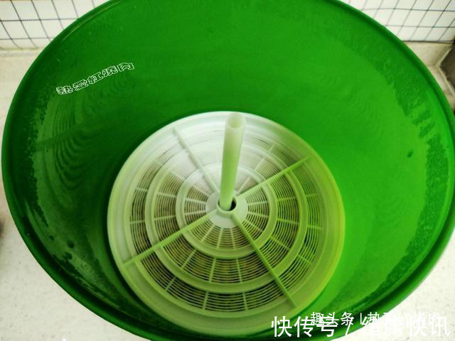 黄豆芽|用了我这办法，发黄豆芽不会变臭一次就成功，五天就长15厘米高！