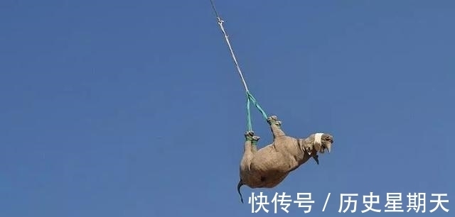 |搞笑诺贝尔奖揭晓!“无聊的知识”又双叒叕增加了