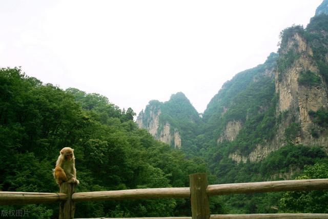 山西一大波景区邀你免费游玩!你准备好了吗?|中国旅游日| 双林寺