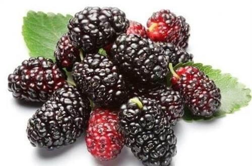 女性到了中年，推荐3种食物，滋肝明目，排毒养颜，好处多多