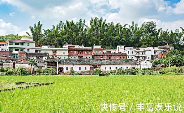 确权|2021年起，农村宅基地“取消确权”？新规下老家房子或将升值