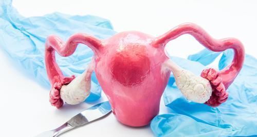 子宫|什么是子宫肌瘤？在哪种情况下才需要切掉子宫？