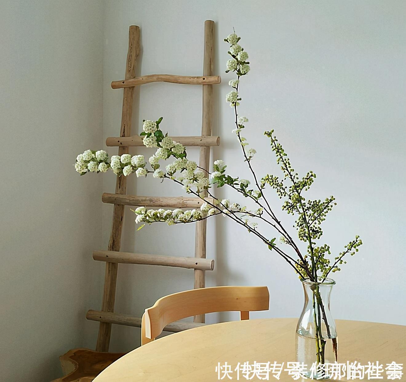 小两口之家,全屋布满绿植鲜花,把生活过成了诗,太美太治愈了