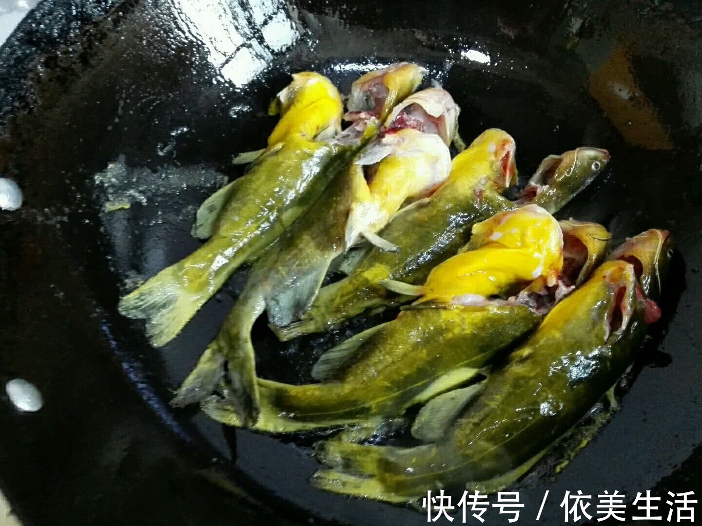 黄颡鱼|不管有钱没钱，隔三差五给孩子吃它，长得高，头脑聪明