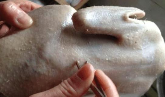 鸭毛怎么才能拔干净？学学老妈的3技巧，每次鸭毛拔得超干净