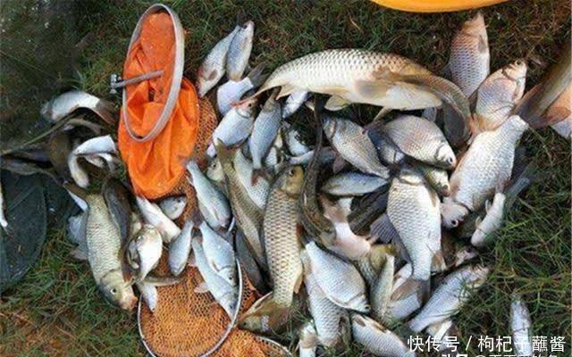 惊蛰到,鱼儿跳!仲春三月鱼应该这样钓,注意变化之中找规律