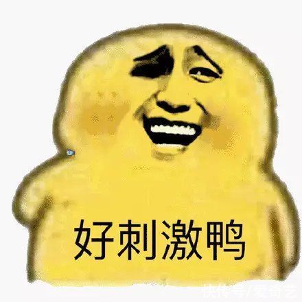 五哈爆笑荒島逃生！又是被觀眾安排得明明白白的一天...