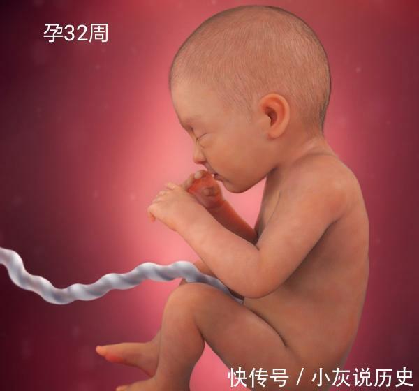 猛涨期|怀孕最后3个月,胎儿发育最快,做好这些小事,宝宝聪明又健康