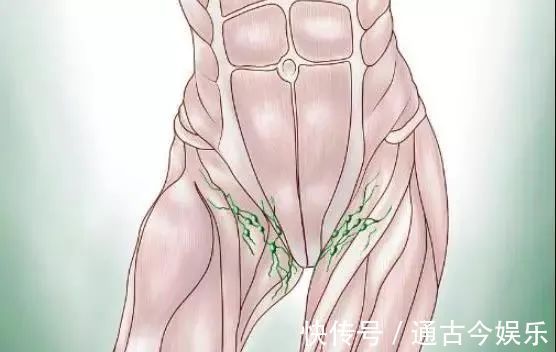 拍打|人体有8虚,学会拍一拍,清肺气化肝郁健脾胃通经络,百病远离!