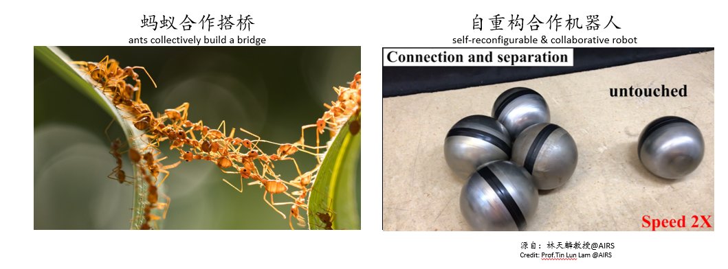 大数据|IEEE Fellow李世鹏 ：人工智能与机器人前沿研究之思考