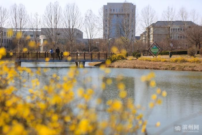 老年|邹平韩店：初春景色美如画