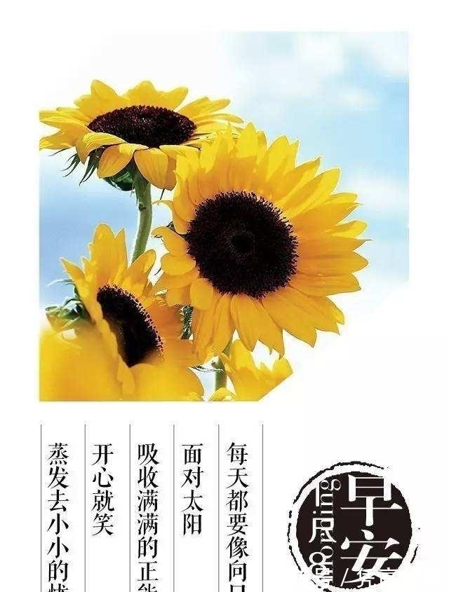 糖尿|糖尿病就是尿中有糖?听专家详解