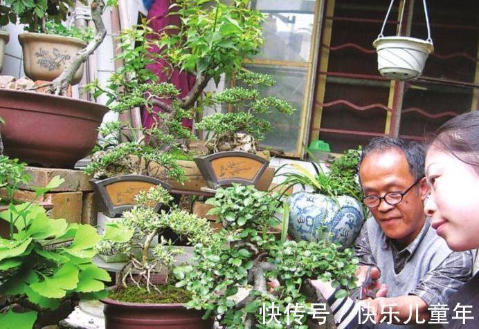 别再浇水了，花都是被你浇死的，教你1招，家里花草轻松爆盆