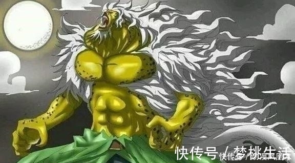 杰克|海贼王 5只月亮狮子帅气, 佩德罗霸气, 加洛特高冷, 猫蝮蛇肥壮