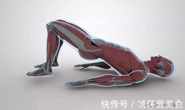 臀桥|土耳其健身女王，因翘臀而爆红，臀桥=翘臀？这样练才对