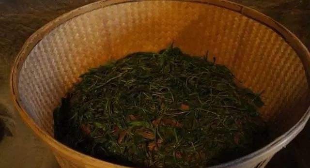 长期存放|大红袍是不是真的陈茶比新茶好?