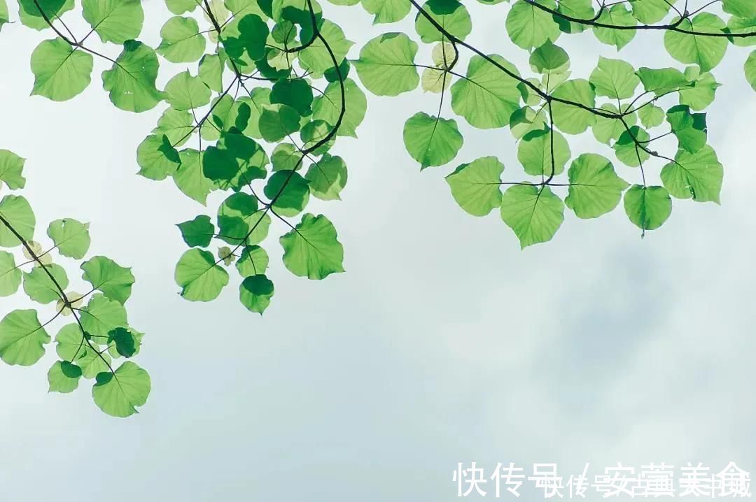 理想|苏轼最通透的一首词,最后两句,让人豁然开朗