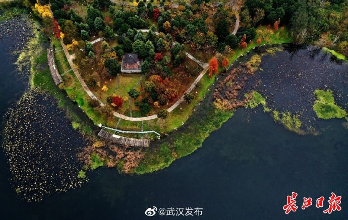  大雪|大雪节气，“秋色”缤纷