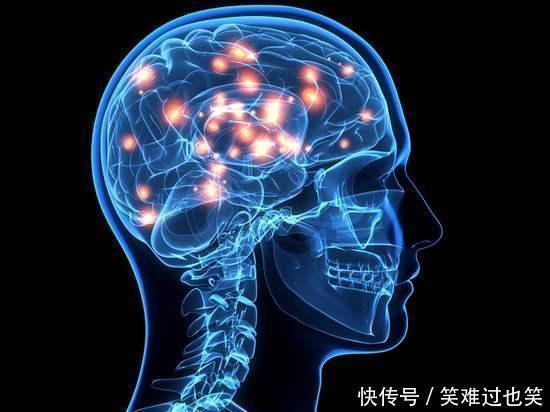 大脑|最新老年痴呆测试谁能在30秒内找出这只鹰,说明大脑还算年轻