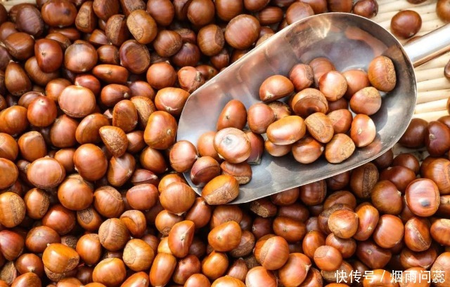 煮板栗，多数人第一步就做错！多做这1步，板栗软糯香甜，好剥壳