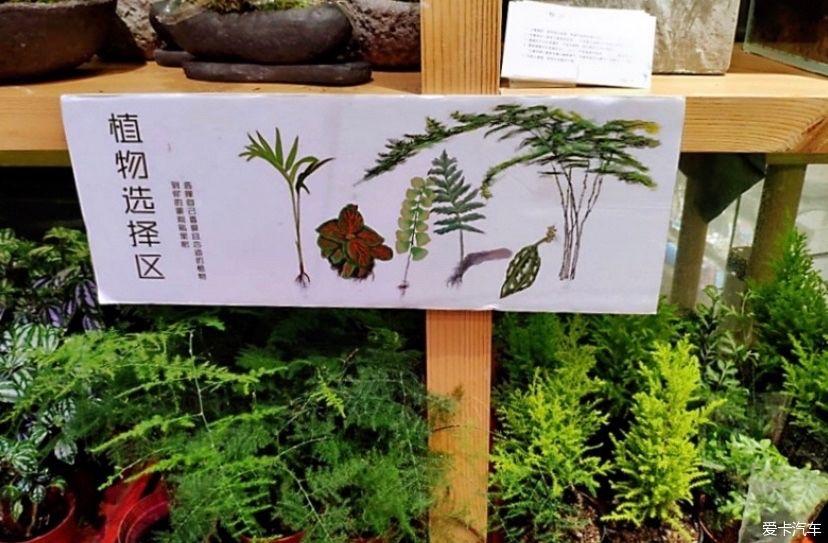 冬天的峨眉一个童话般的冰雪世界，真是美不胜收