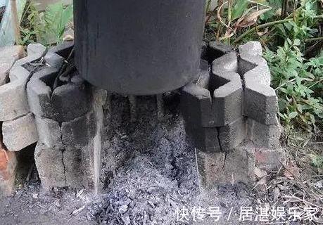 腐叶土|养花缺不了营养土不想要花钱买,就添加上它们,比买的还好