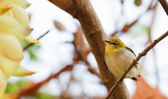 戈兵|一个有教养的人,总会在这四个方面做得很好