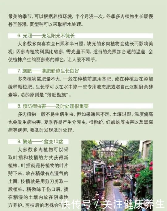 「提示」多肉爱好者们,请收下这份养护攻略!