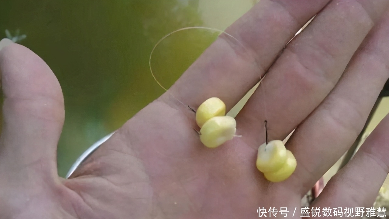 挂、穿、粘,弄明白鱼饵的三种挂钩方法,再也不担心饵团脱钩了