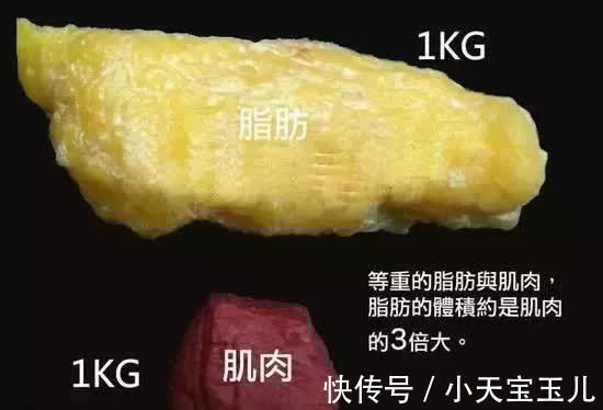 体脂|被忽悠了这么多年:体脂秤测的体脂率完全不准!真正准的方法是
