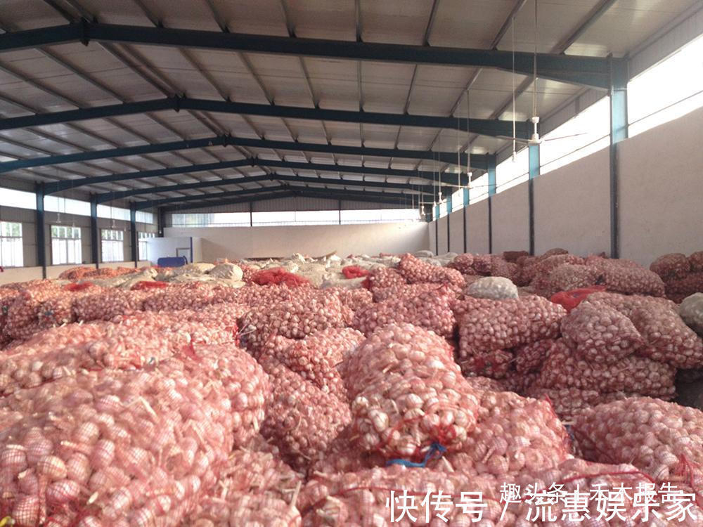 市场价|去年每公斤6毛钱,今年市场价猛涨10倍,却有农民拿它喂鸡